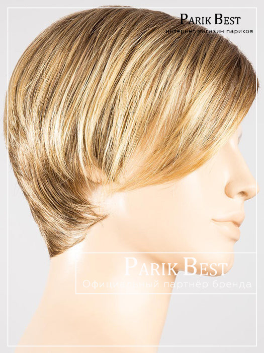 disc-bernstein-rooted_8.26.19_1_1024x1024