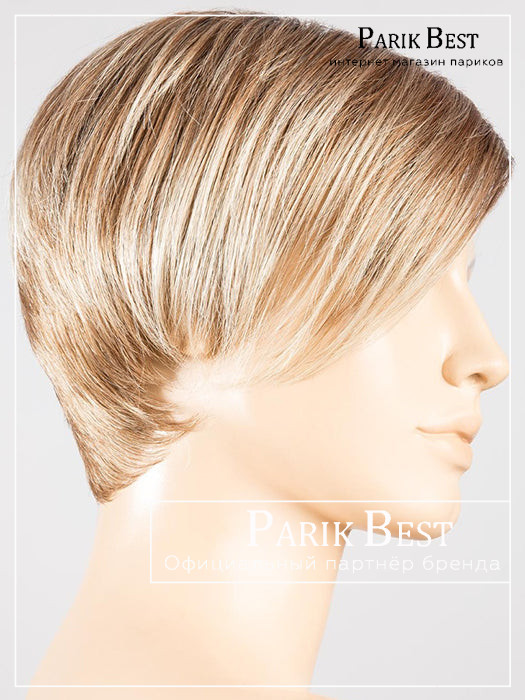 disc-dark-sand-rooted_12.20.23.8_1_1024x1024