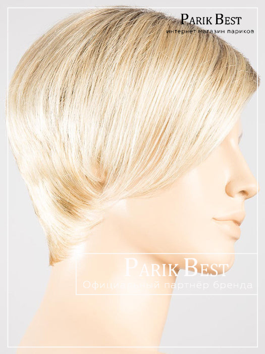 disc-champagne-rooted_22.25.19_1024x1024