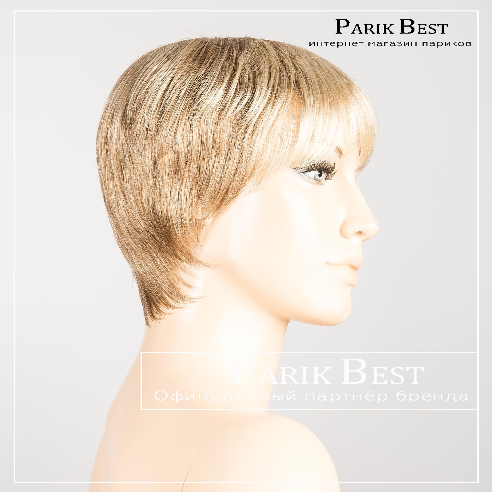 ginger_ginger_small_1 1 ginger_ginger_small_1 1