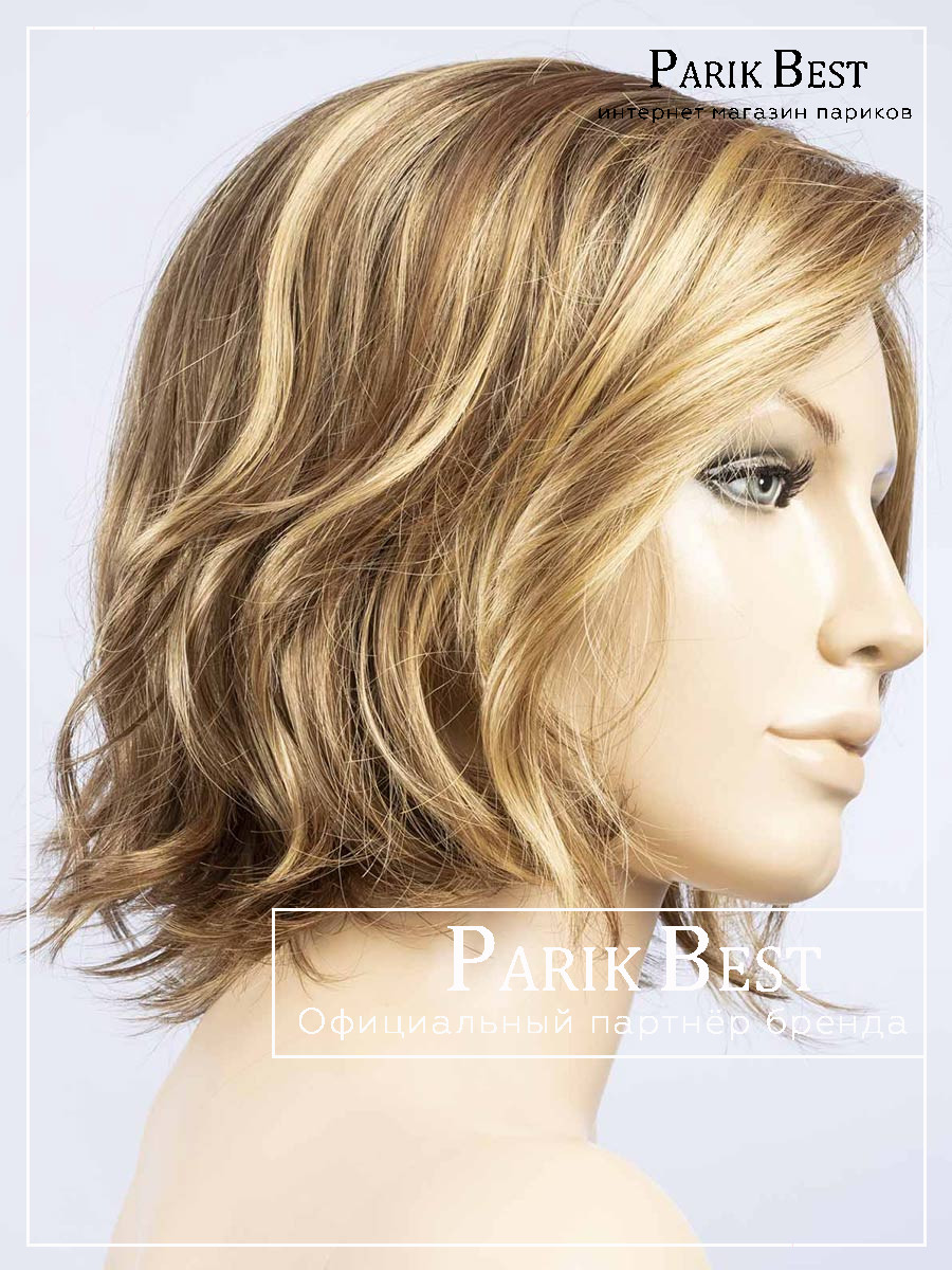 nola-mono-bernstein-multi-shad-bs